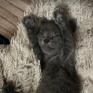 ᴶᵘˢᵗ ᵐᵉ ᵃⁿᵈ J