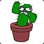 CactiJones