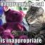 Inappropriate Cat
