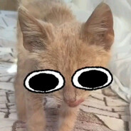 Tanich_0