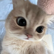 alandala