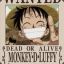 MONKEY-D-LUFFY