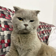 K1KA-- - steam id 76561199223751520