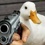MC.PATO