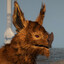 herg (from warframe)