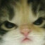 БОБКА's avatar