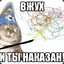 Котёнок Вжух