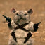 a dead hamster