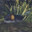 Fixxhyy avatar