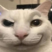Mercimek Steam avatar