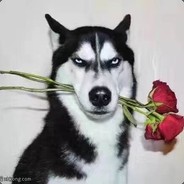 懒癌晚期无可救药