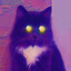 Raccoon