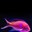 FishBoy