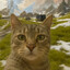 CeWhys_7