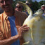 The Turtle Tourist