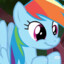 Dashie