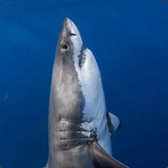 47 хромосом лялялля