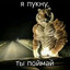 Хлеб, молоко, яйца