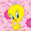 Piolin pin pon