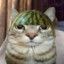 coshka