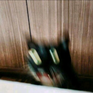 你就说你有没有马吧