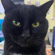 Барак Хуссейн Оба