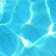 teamGoA | BlackSnake