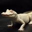jagi
