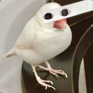 救命啊我变成鹦鹉了