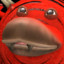 11r3d0I998