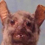 TBczzi
