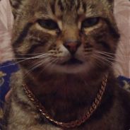 [iNQ.s] Krestniy Kotec