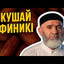 КУШАЙ ФИНИКИ