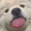 熊仔