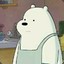 ice bear