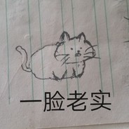 胖胖猫对B发动了突袭