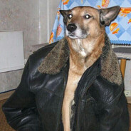 на страже лоутаба