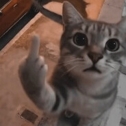 Lilla Jöllen Stora Kassen