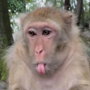 Tavariusquontrellious Shaquavion