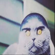 DiddyBlud