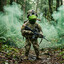 Kermit avatar