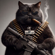 Big_Grumpy_Cat - steam id 76561197960280087