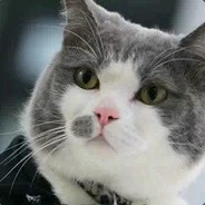 威风凛凛的路人甲