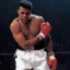 MUHAMMED ALI