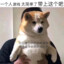 木子木