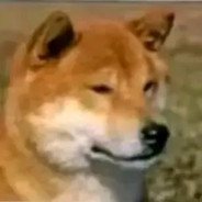 六边形战士狗勾