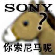 你SONY尼马呢？