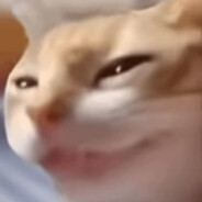 聪聪是聪聪不是葱葱