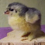 bAc.iLLuS - steam id 76561197961411921