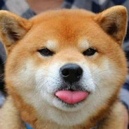 百日萌新-狙击手[QAQ]